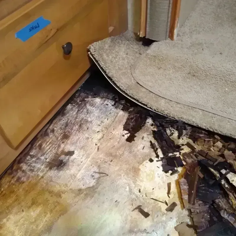 Wood Floor Water Damage in Clear Lake, SD